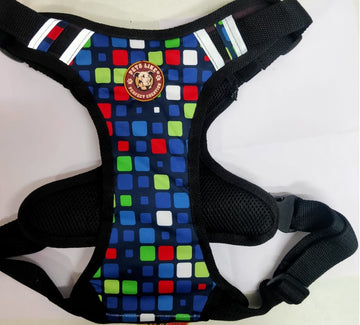Golden Eye Double Side Harness